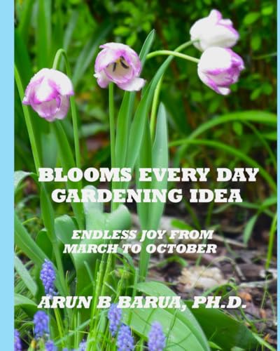 BLOOMS EVERY DAY GARDENING IDEA: ENDLESS JOY FROM MARCH TO OCTOBER