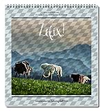 mothwurf trachten online  Zefix! Wandkalender 2017: Der Bayrische Fluch- und Schimpfkalender