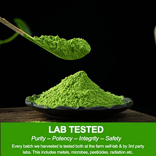 Teanagoo Organic Matcha Green Tea Powder - Ceremonial Grade Matcha - Premium First Harvest Ceremonial Grade (3.53 Ounce/100 G)-Organic Matcha Green Tea Powder- Instant Everyday Matcha Green Tea Powder #TOP1