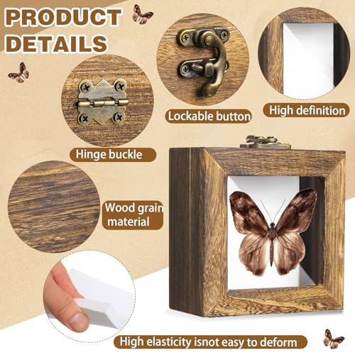 Image of Reallnaive 4 Pcs Insect Pinning Kit 4 inch Wooden Display Case Box, EVA Foam Insect Pinning Board, 100 Bug Pins for Butterfly Specimen Bugs Collection Tools(Carbonized Brown)