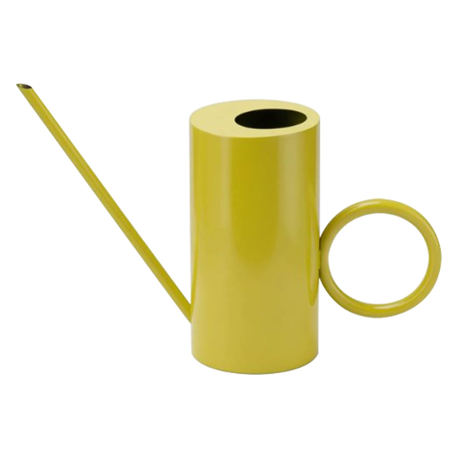KICHOUSE Annaffiatoio in metallo con beccuccio lungo per piante da interno ed esterno - 1500 ml/51 oz Vaso per piante in acciaio inossidabile per giardinaggio, grasse e fiori