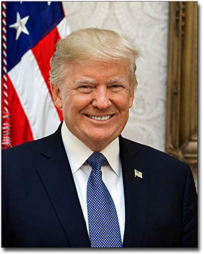 United States President Donald Trump Official 2017 Portrait 8x10 Silver Halide Photo Print