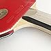 Palio Expert 2.0 Table Tennis Racket & Case | ITTF-Approved Ping Pong Paddle for Beginners | High Spin & Control