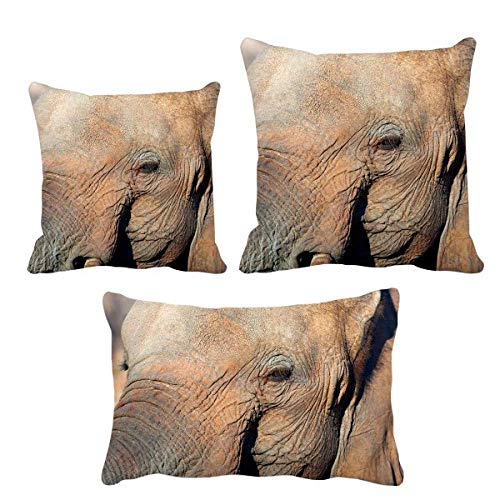 Housse coussin éléphant lavable pour protéger et décorer vos canapés