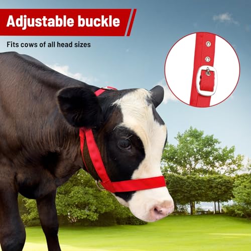 Cow Halter Cattle Halters Calf Halter with Leading Rope,Adjustable Nylon Livestock Cattle Halter,for Miniature Horse Donkey Goat Foal (Red, Medium)