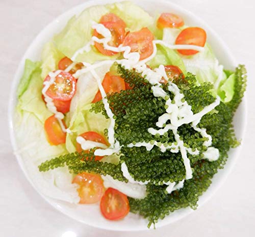 Salted Sea Grapes GREEN FOOD - Dehydrated seaweed - Organic - Umibudo - Green caviar - Caulerpa lentillifera (3.53 OZ/100g of 5 packs)