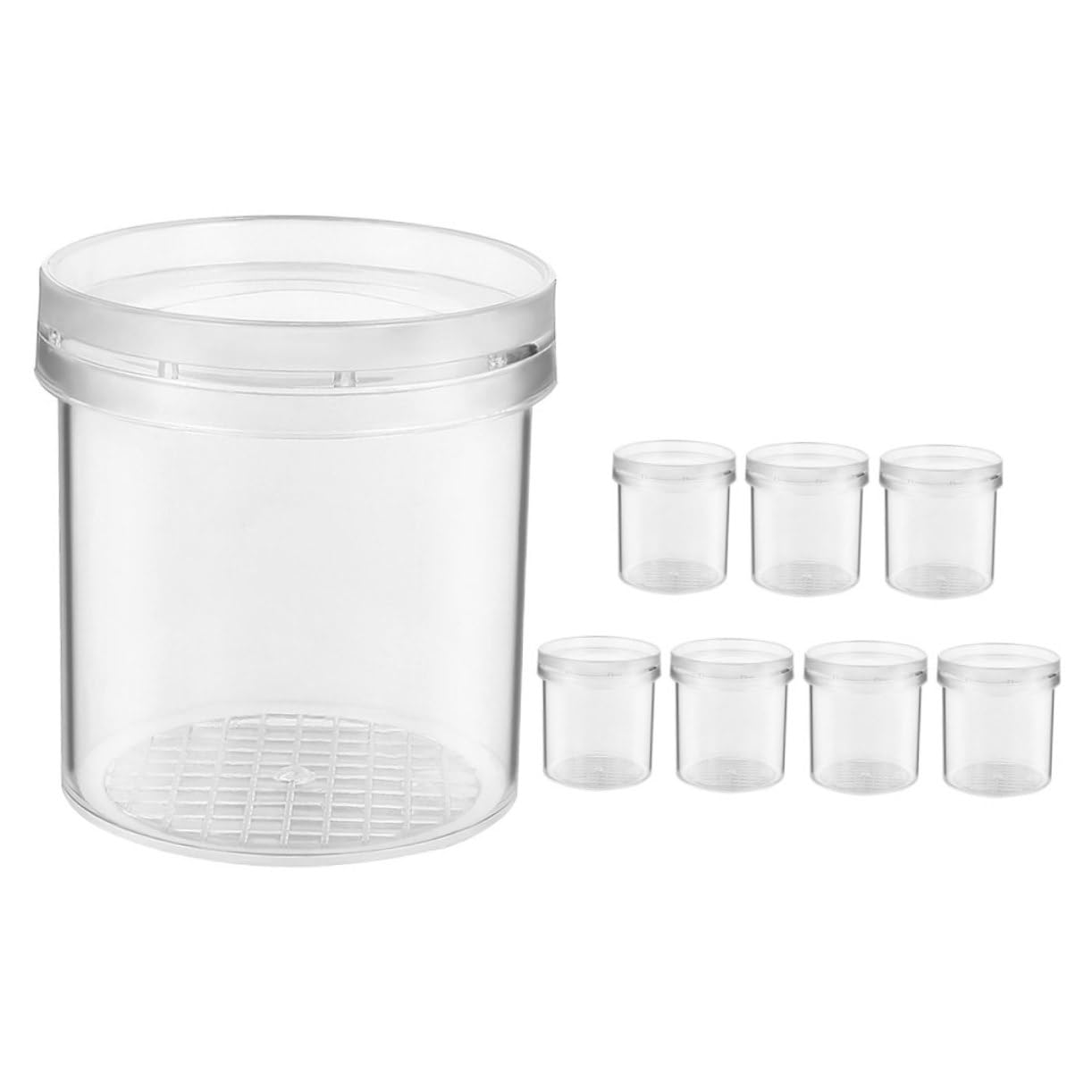 Lot de 8 Boîtes Loupe pour Insectes Garçon et Filles Petit Format Observation Précise Extérieur Apprentissage Scientifique Exploration Naturelle