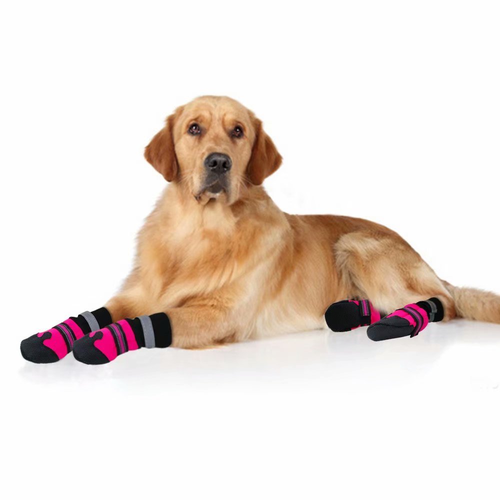 Hondenpootbeschermer, hondenlaarsjes met antislip