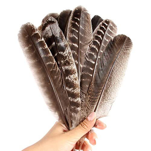 Tharaht 24Pcs Natural Wild Turkey Wing Feathers Quill Bulk 6-8Inch 15-20Cm For Diy Crafts Project Collection Wedding Decoration Wild Turkey Tails Feather #TOP3