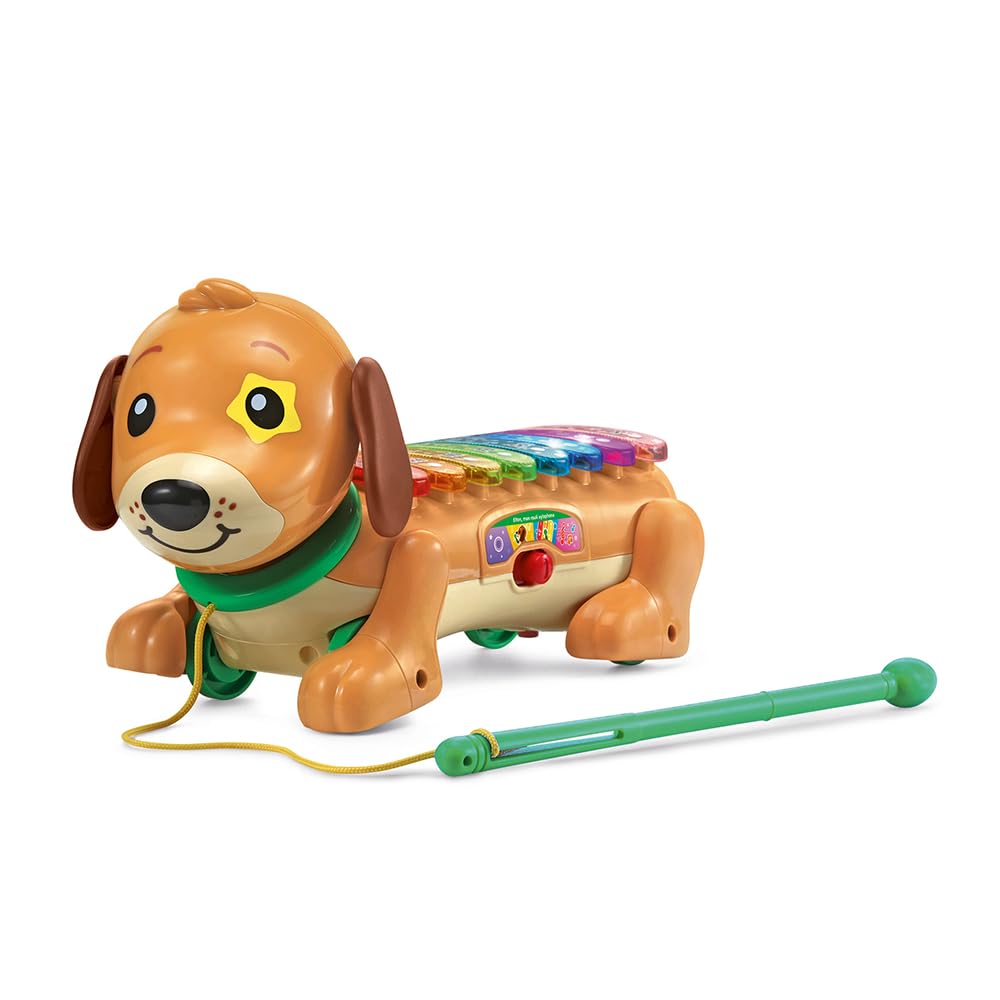 VTech Baby Perro Elton, Mi rouli Xilófono, 571005, Multicolor, Estándar
