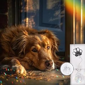 Dog memorial gifts paw print sun catcher dogs cats pet remembrance crystal ball window suncatcher bereavement grief sympathy gift paw clear   cucciolini doodles