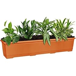 Maceteros Plastico Balcon ZENQA Macetas rectangulares para interiores y exteriores, 75 cm, para ventana, balcón, macetero de plástico, agujeros de drenaje, resistentes a la intemperie, ligeras, para flores, plantas, terrazas y