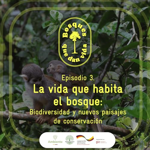 LA VIDA QUE HABITA EL BOSQUE