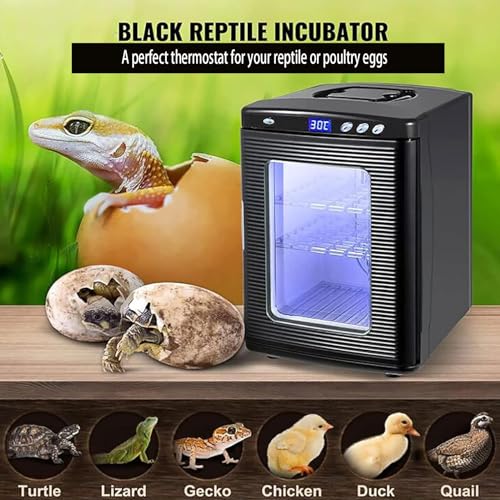 Incubadora de huevos de reptiles, 25 L, control de temperatura de 5 °C a 60 °C, con termostato de calefacción y refrigeración, iluminación LED para camaleones, lagartijas y tortugas