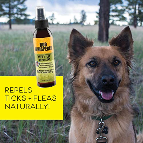 Dog Whisperer Tick + Flea Repellent, All-Natural, Extra Strength, Effective on Dogs and Their People (4 Ounce Spray) - Image 4