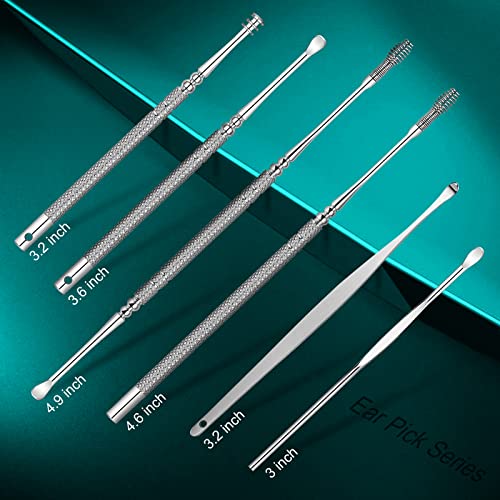 Ohrenschmalz Entferner,Ohrenreiniger,Ohrenreiniger Set,Edelstahl Spirale Ohrreiniger,Ohrlöffel,Ohrenschmalz entfernung/Ohrenreinigung, Ear Cleaner für Erwachsene,mit Aufbewahrungskiste(Silber)