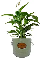 Cachepot Decorativo Garden em Cerâmica para Vasos de Plantas (06 Verde)