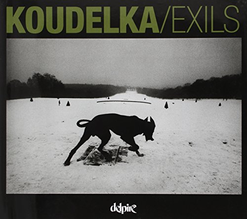 Télécharger Exils Livre eBook France