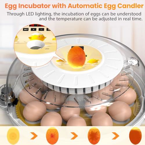 Detodda 1000000TC18 Eggs Incubators For Hatching Eggs thumb #3