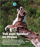 Outward Hound Squeaker Ballz - Hundespielzeug zum Apportieren - Größe M - 4er-Pack
