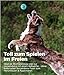 Outward Hound Squeaker Ballz - Hundespielzeug zum Apportieren - Größe M - 4er-Pack