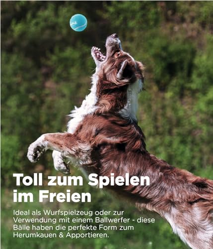 Outward Hound Squeaker Ballz - Hundespielzeug zum Apportieren - Größe M - 4er-Pack