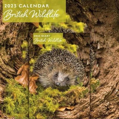 2023 calendar and diary set BRITISH WILDLIFE 2023, This Will Make a Great Xmas Gift & Comes Already Gift Wrapped, Green & Brown
