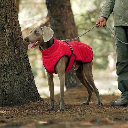 Chaqueta para perros con jerséi ajustable y algodón reflectante 4