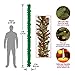 National Tree Company Pre-Lit Artificial Christmas Garland, Green, Wintry Pine, White Lights, Decorated with Pine Cones, Berry Clusters, Plug In, Christmas Collection, 9 Feet