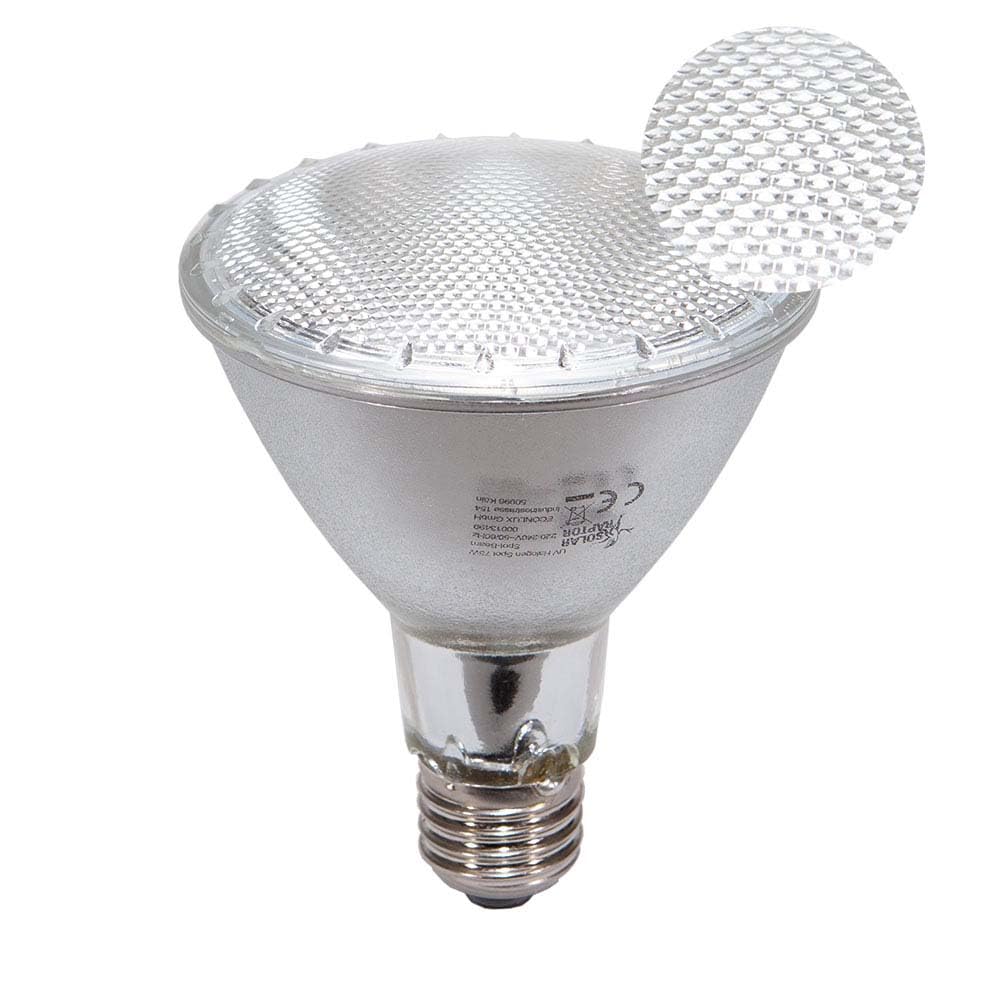 Spot halogène UV - Spot chauffant pour terrariums (75 W)