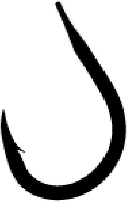 Gamakatsu Single Hook Seam
