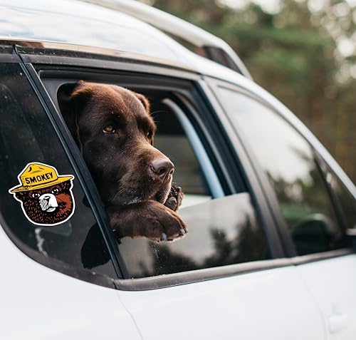 Image of WSQ 2-Pack Smokey Firefighting Awareness Vinyl Sticker Decal - 4.74x4.85 Inches - for Car Truck SUV Van Window Bumper Wall Laptop Tablet Cup Tumbler and Any Smooth Surface