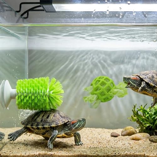 Image of 2-in-1 Turtle Brush and Feeder Ball Set, Turtle Tank Accessories