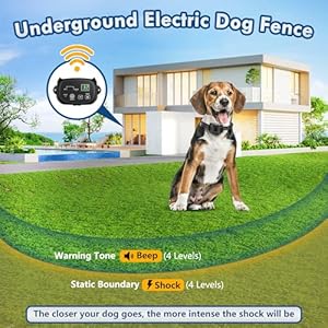 Electric Fence for Dogs Inground/Underground Dog Fence System Wired Pet Containment System w/2 Rechargeable Waterproof Training Collar Receivers, 656ft Boundary Wire, Tone & Shock Correction