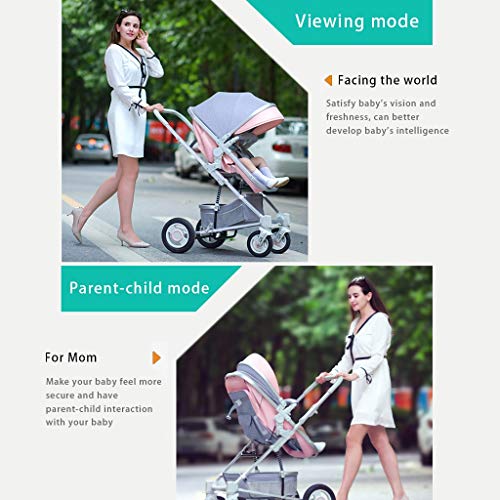 Klappbarer Kinderwagen，Babywagen Reisesystem Mit Baby Basket Anti-Shock Kombikinderwagen 0-3 Jahre 0-15 Kg，höhenverstellbarer Griff, Klein Faltbar, Leicht (Color : Style 1)