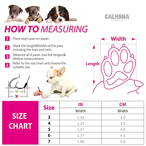 Can You Tell Size Of Dog By Paws