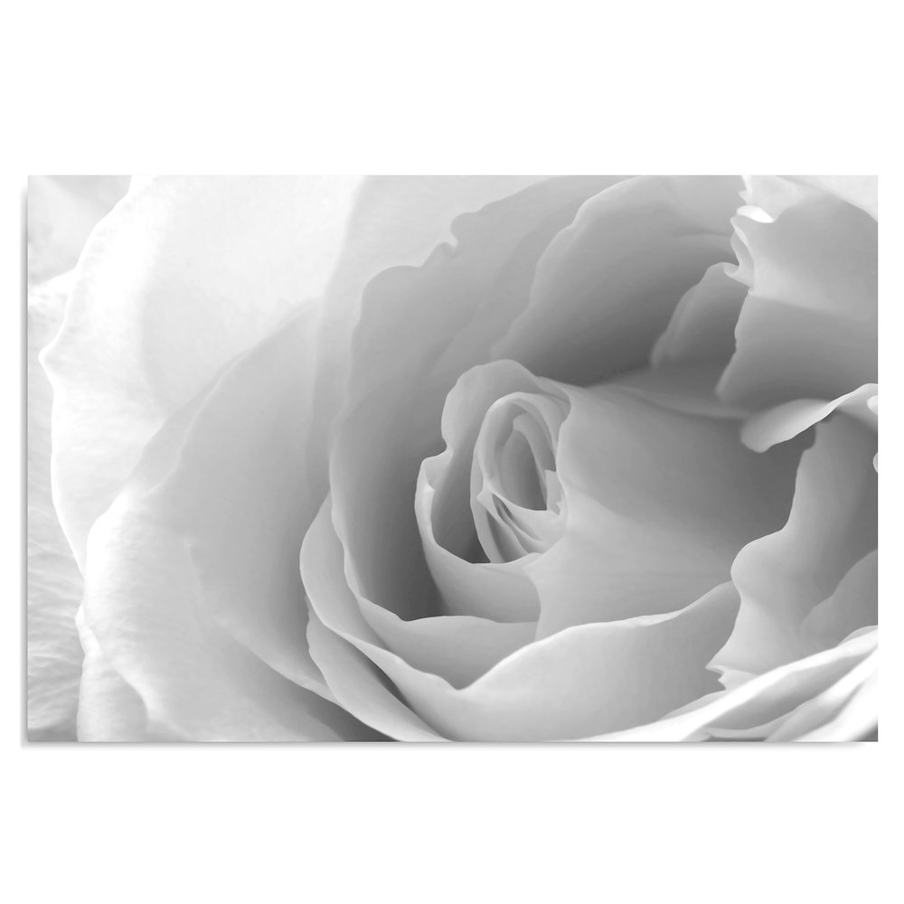 Feeby Cuadro En Lienzo Rosa 80x60 cm 1 Pieza Modernos Impresión Artística Calidad Fotografica Imagen Decoración de Pared Salon Dormitorio Cocina Oficina Pasillo Blanco Gris