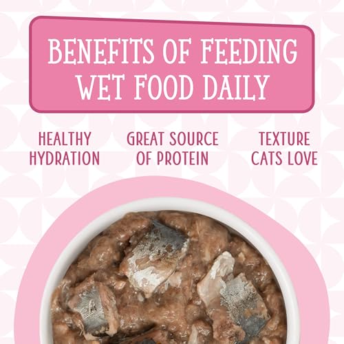 Image of Weruva Cats in The Kitchen, Kitty Gone Wild with Wild Salmon Au Jus Cat Food, 3.2oz Can (Pack of 24)