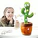 FIGHTART Danse Cactus, Jouet Cactus Chantant, en Peluche Cactus Répétant Parler 120 Chansons USB Charge Lumière Lueur Idée Cadeau