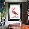 Flamingo Fine Art Print om te passen binnen Mount van Ikea 61 x 91 frame