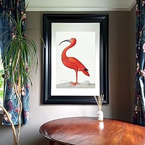 Flamingo Fine Art Print om te passen binnen Mount van Ikea 61 x 91 frame