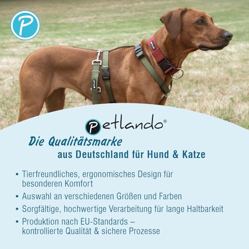 Petlando Hundegeschirr Mesh Vest, leichtes Brustgeschirr aus weichem Mesh & Nylon, stufenlos verstellbar, reflektierend mit 2 D-Ringen, Schwarz M, Welpengeschirr mitwachsend
