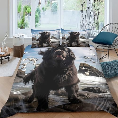 coastal adventure scene Funda de Edredón Microfibra Suave 3 Piezas Compuesto Estampado 3D coastal adventure escena Funda Edredon con Fundas de Almohada Suave Lavables for niños y niñas （140x200cm）