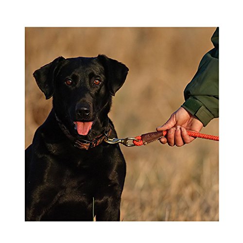 Avery Sporting Dog Floating Check Cord – High-Visibility Water & Field Training Leash