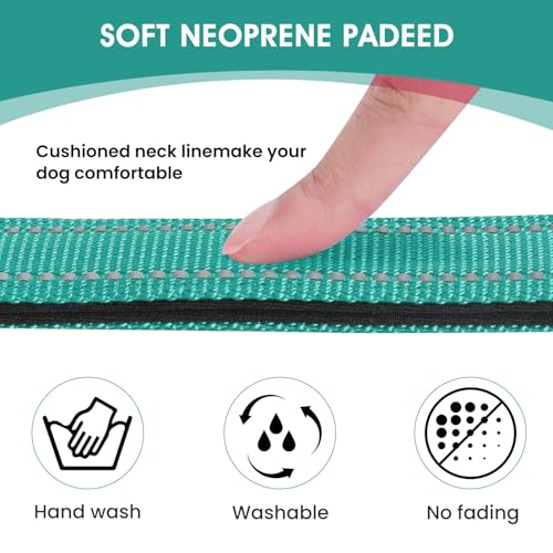 Image of Reflective Dog Collar, Adjustable Nylon for Puppy, Teal XS