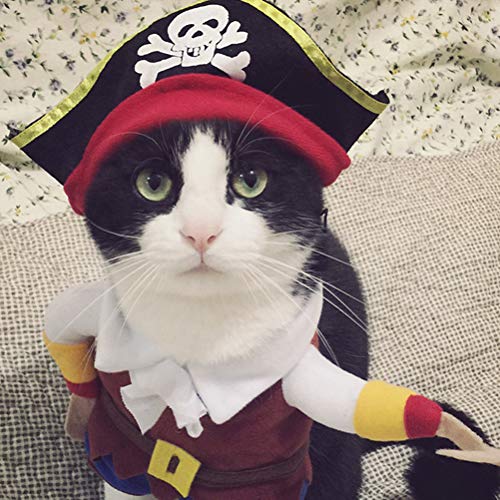 Disfraz Pirata para Perros Halloween Talla S miniatura 3