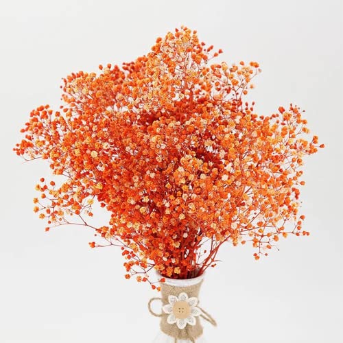 Fiore artificiale essiccato al respiro del bambino...