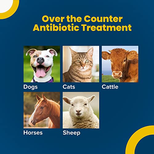 Terramycin 10000474 Antibiotic Ointment For Eye Infection Treatment In Dogs, Cats thumb #4