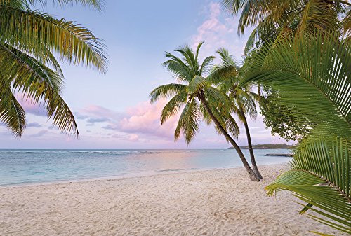 Komar XXL4-528 368 x 248 cm National Geographic Paradise Morning Mural Wallpaper - Blue (4-Piece), 248 x 368 cm - Image 2