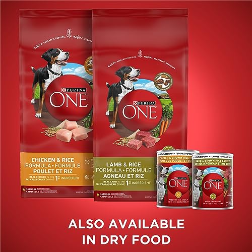 Purina ONE Tender Cuts Wet Dog Food, in Gravy Variety Pack 2 Flavours - 368 g Can (12 Pack) image 2